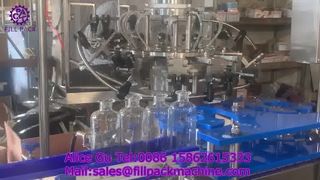 2262 J11 12-Stationen-Rotationsflaschenspülmaschine für estnische Glasflaschen