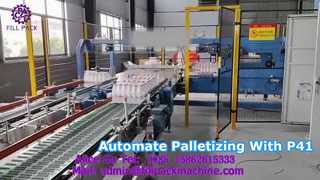 2299 P41 Portalpalettierer