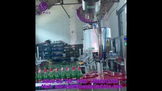 2220 J118 Automatische Kronkorken-Verschließmaschine mit 6 Köpfen