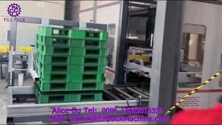 2307 P42 Kartonverpackungsportal-Palettier-Produktionslinie