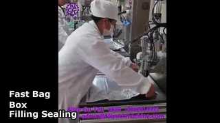 2108 L14 Halbautomatische Einkopf-Bag-in-Box-Füll- und Verschließmaschine