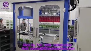 2235 P15 Automatische Kartonverpackungsmaschine mit Doppelkopfgreifer