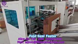 2134 P34 Falt- und Siegelmaschine